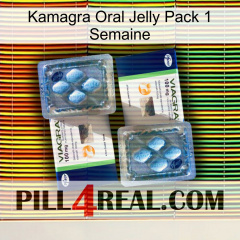 Kamagra Oral Jelly 1 Week Pack viagra5
